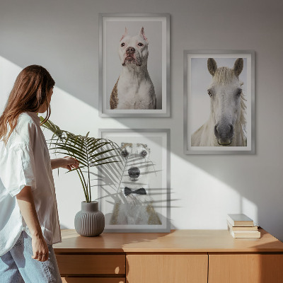 Set de 3 cuadros para salón Retratos de perros y caballos con elegancia