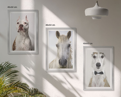 Set de 3 cuadros para salón Retratos de perros y caballos con elegancia