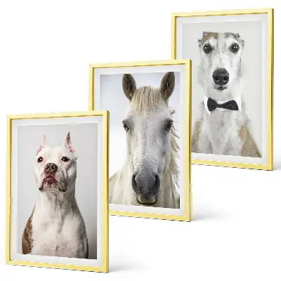 Set de 3 cuadros de retratos de perros y caballos con diseño elegante para salón