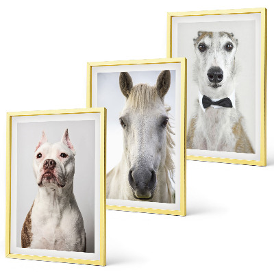 Set de 3 cuadros para salón Retratos de perros y caballos con elegancia
