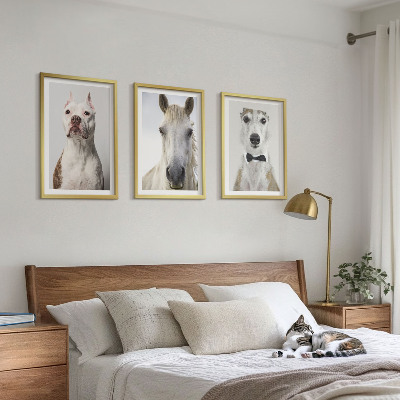 Set de 3 cuadros para salón Retratos de perros y caballos con elegancia