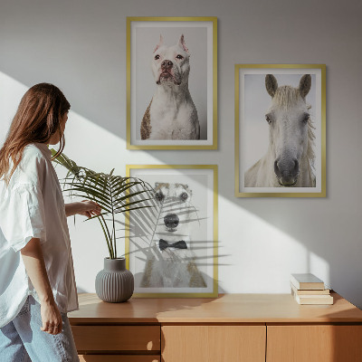 Set de 3 cuadros para salón Retratos de perros y caballos con elegancia