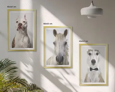 Set de 3 cuadros de retratos de perros y caballos con diseño elegante para salón