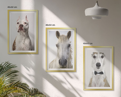 Set de 3 cuadros para salón Retratos de perros y caballos con elegancia