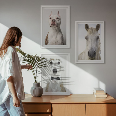 Set de 3 cuadros para salón Retratos de perros y caballos con elegancia