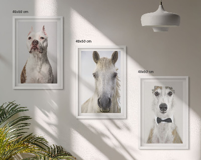 Set de 3 cuadros para salón Retratos de perros y caballos con elegancia
