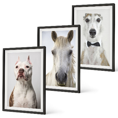 Set de 3 cuadros para salón Retratos de perros y caballos con elegancia