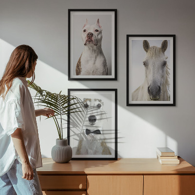 Set de 3 cuadros para salón Retratos de perros y caballos con elegancia