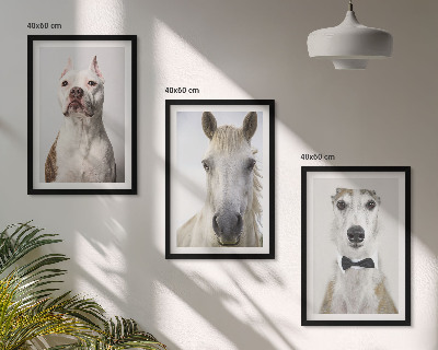 Set de 3 cuadros para salón Retratos de perros y caballos con elegancia