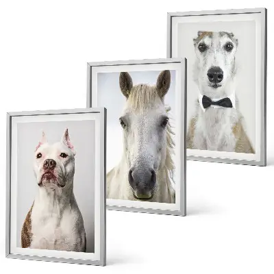 Set de 3 cuadros de retratos de perros y caballos con diseño elegante para salón