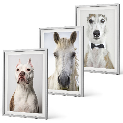 Set de 3 cuadros para salón Retratos de perros y caballos con elegancia