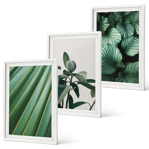 Cuadros decorativos de hojas tropicales juego de 3 piezas estéticas