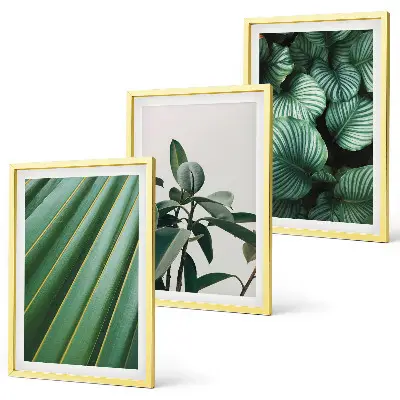 Cuadros decorativos de hojas tropicales juego de 3 piezas estéticas