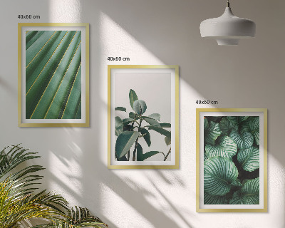 Juego de 3 cuadros Hojas tropicales estéticas