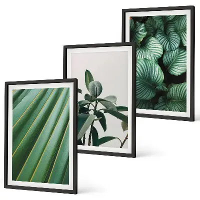 Cuadros decorativos de hojas tropicales juego de 3 piezas estéticas