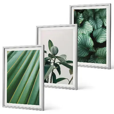 Cuadros decorativos de hojas tropicales juego de 3 piezas estéticas