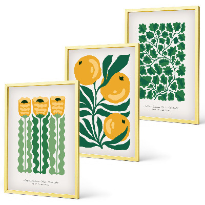 Juego de 3 cuadros Patrones de plantas flores hojas