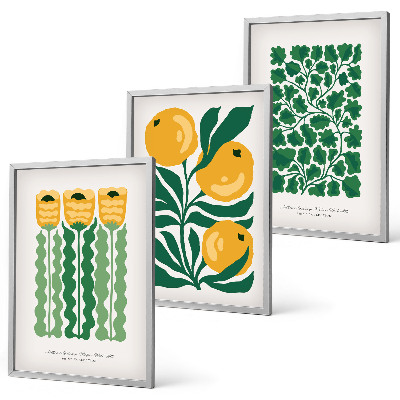 Juego de 3 cuadros Patrones de plantas flores hojas