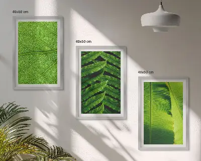 Set de 3 cuadros de hojas tropicales fotografía macro para salón