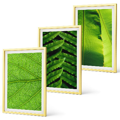 Set de 3 cuadros para salón Fotografía macro de hojas tropicales