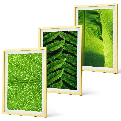 Set de 3 cuadros de hojas tropicales fotografía macro para salón