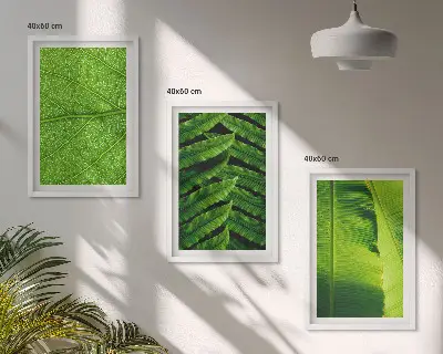Set de 3 cuadros de hojas tropicales fotografía macro para salón