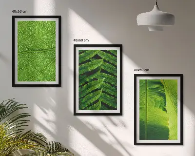 Set de 3 cuadros de hojas tropicales fotografía macro para salón