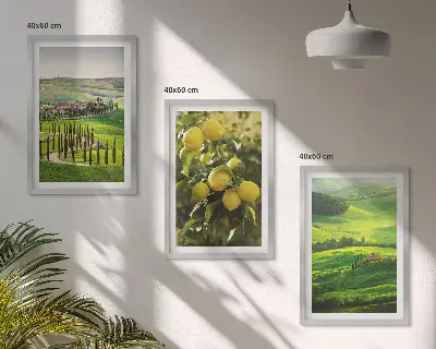 Juego de 3 cuadros con diseño de cítricos italianos y colinas