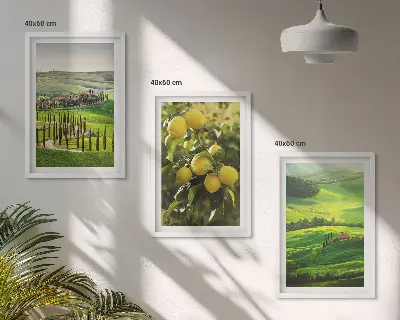 Juego de 3 cuadros con diseño de cítricos italianos y colinas