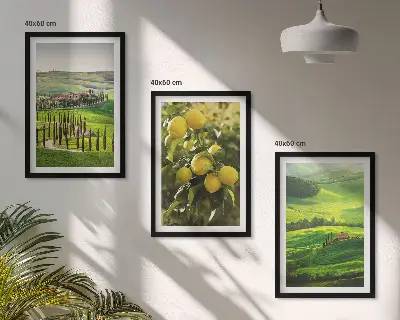 Juego de 3 cuadros con diseño de cítricos italianos y colinas