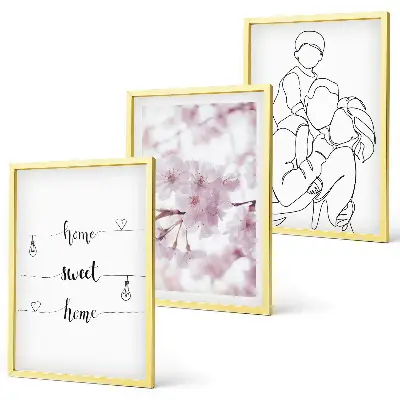 Juego de 3 cuadros flores estilo minimalista