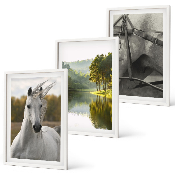 Juego de 3 cuadros Caballos blancos río naturaleza