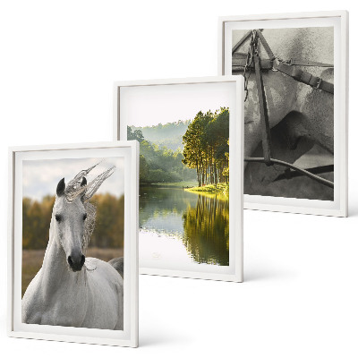 Juego de 3 cuadros Caballos blancos río naturaleza
