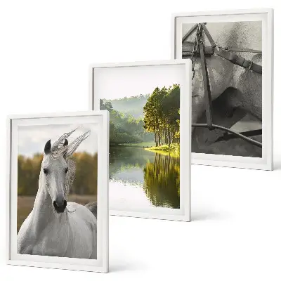 Juego de 3 cuadros de caballos blancos en el río con diseño de naturaleza