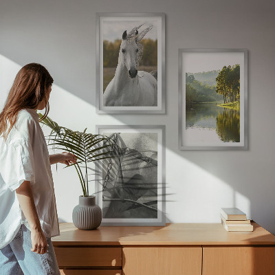 Juego de 3 cuadros Caballos blancos río naturaleza