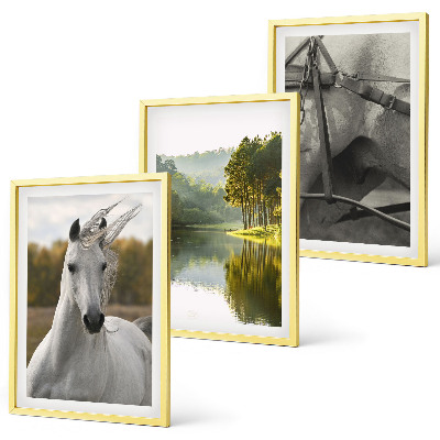 Juego de 3 cuadros Caballos blancos río naturaleza