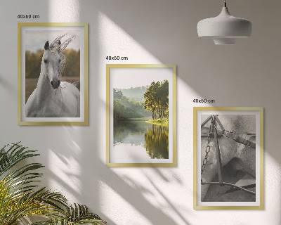 Juego de 3 cuadros Caballos blancos río naturaleza
