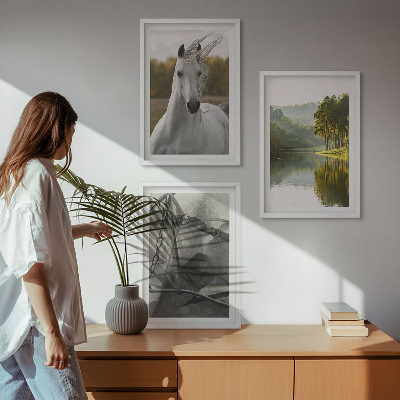 Juego de 3 cuadros Caballos blancos río naturaleza