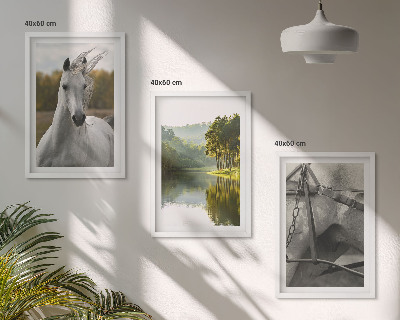 Juego de 3 cuadros Caballos blancos río naturaleza