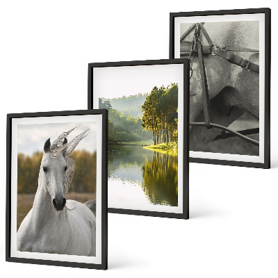 Juego de 3 cuadros Caballos blancos río naturaleza