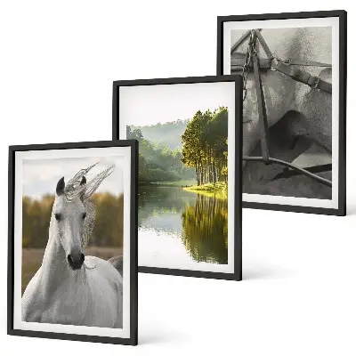 Juego de 3 cuadros de caballos blancos en el río con diseño de naturaleza