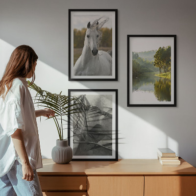 Juego de 3 cuadros Caballos blancos río naturaleza