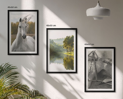 Juego de 3 cuadros Caballos blancos río naturaleza