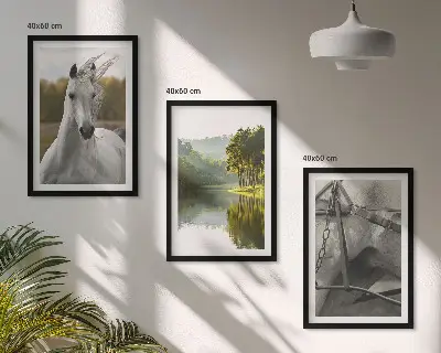 Juego de 3 cuadros de caballos blancos en el río con diseño de naturaleza