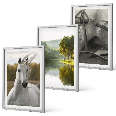 Juego de 3 cuadros Caballos blancos río naturaleza