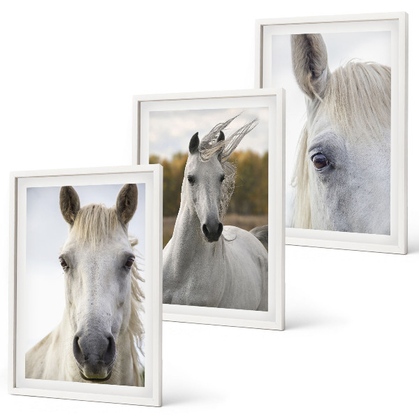 Set de 3 cuadros para salón Caballos blancos en la naturaleza