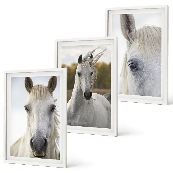 Set de 3 cuadros para salón con diseño de caballos blancos en la naturaleza