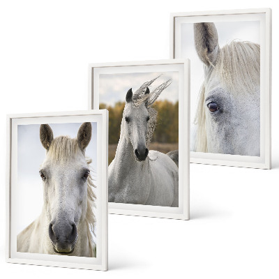Set de 3 cuadros para salón Caballos blancos en la naturaleza