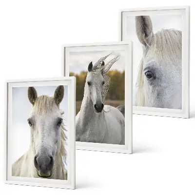 Set de 3 cuadros para salón con diseño de caballos blancos en la naturaleza