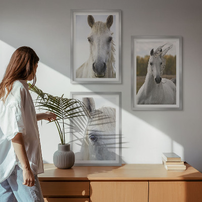 Set de 3 cuadros para salón Caballos blancos en la naturaleza